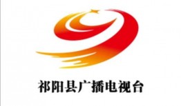 祁阳电视台新闻爆料电话,揭秘背后真相