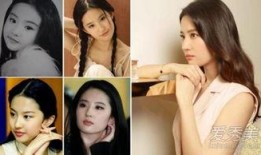 刘亦菲爆料整容了吗视频,揭秘明星美容背后的秘密